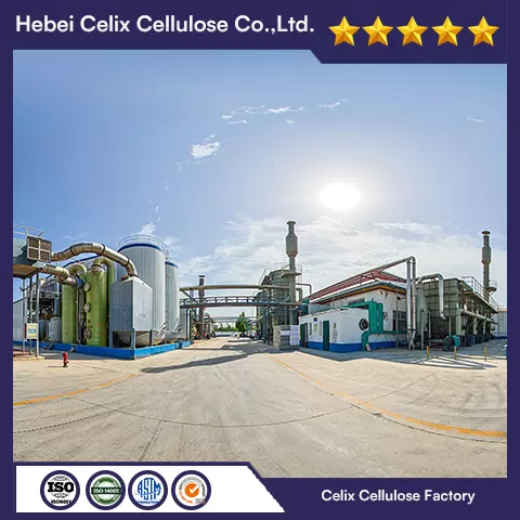 18 tahun Celix Factory