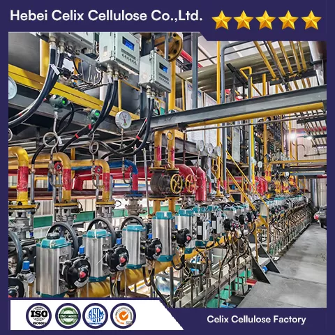 18 tahun Celix Factory