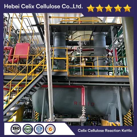 18 tahun Celix Factory