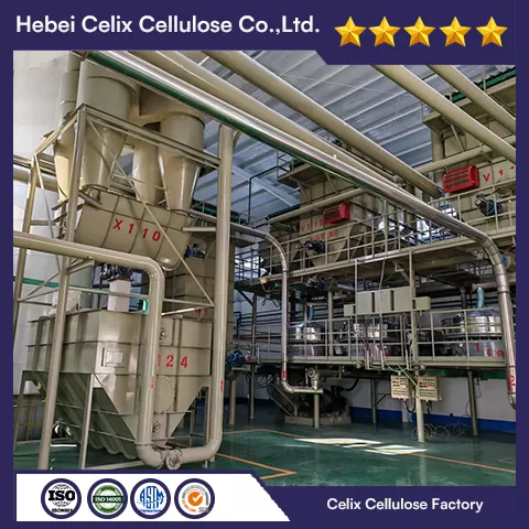 18 tahun Celix Factory