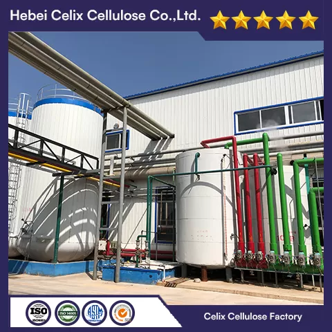 18 tahun Celix Factory