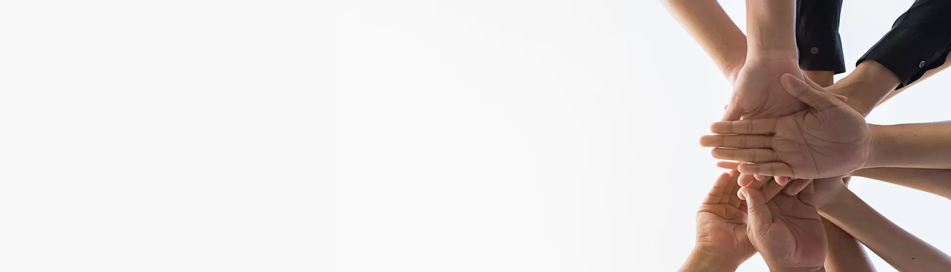 Celix Global Partner Support Program