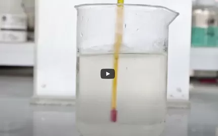 Pandangan cepat dari Hebei Celix perusahaan selulosa