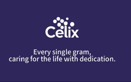 Mengapa Proyek Konstruksi Global Mengandalkan Celix